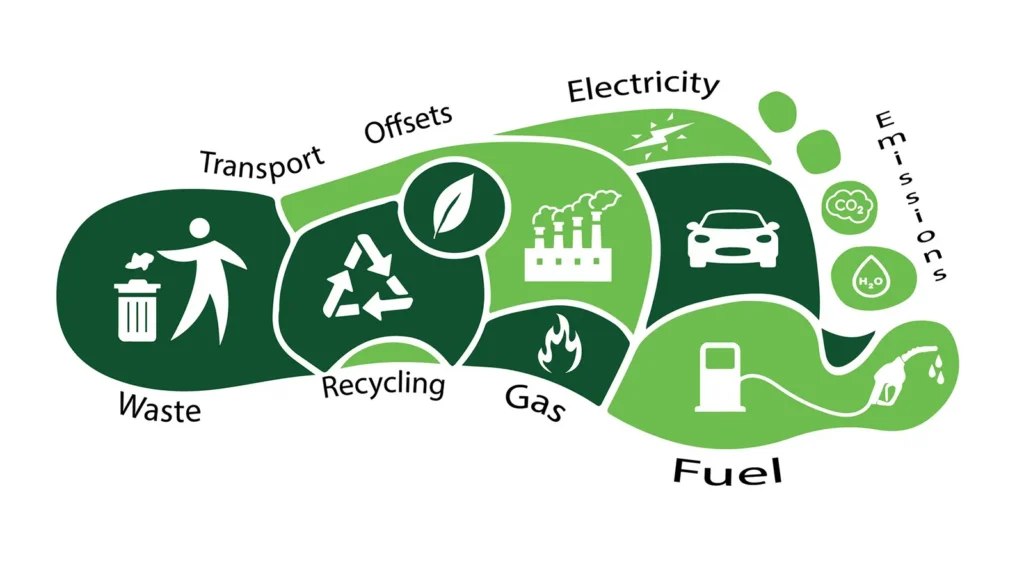 Mastering the Art of Eco-Conscious Living: Your Guide to Reducing Carbon Footprint in Every Aspect of Life