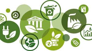 From Promises to Progress: Real-World Climate Policies Delivering Results Worldwide