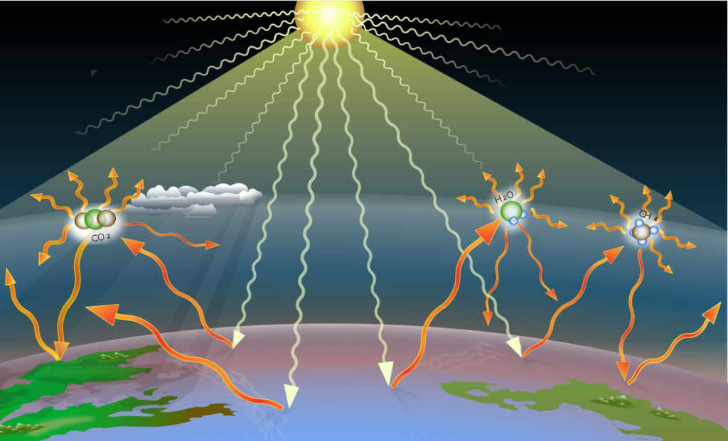 Navigating the Impact of Greenhouse Gases: Understanding Emissions and Solutions