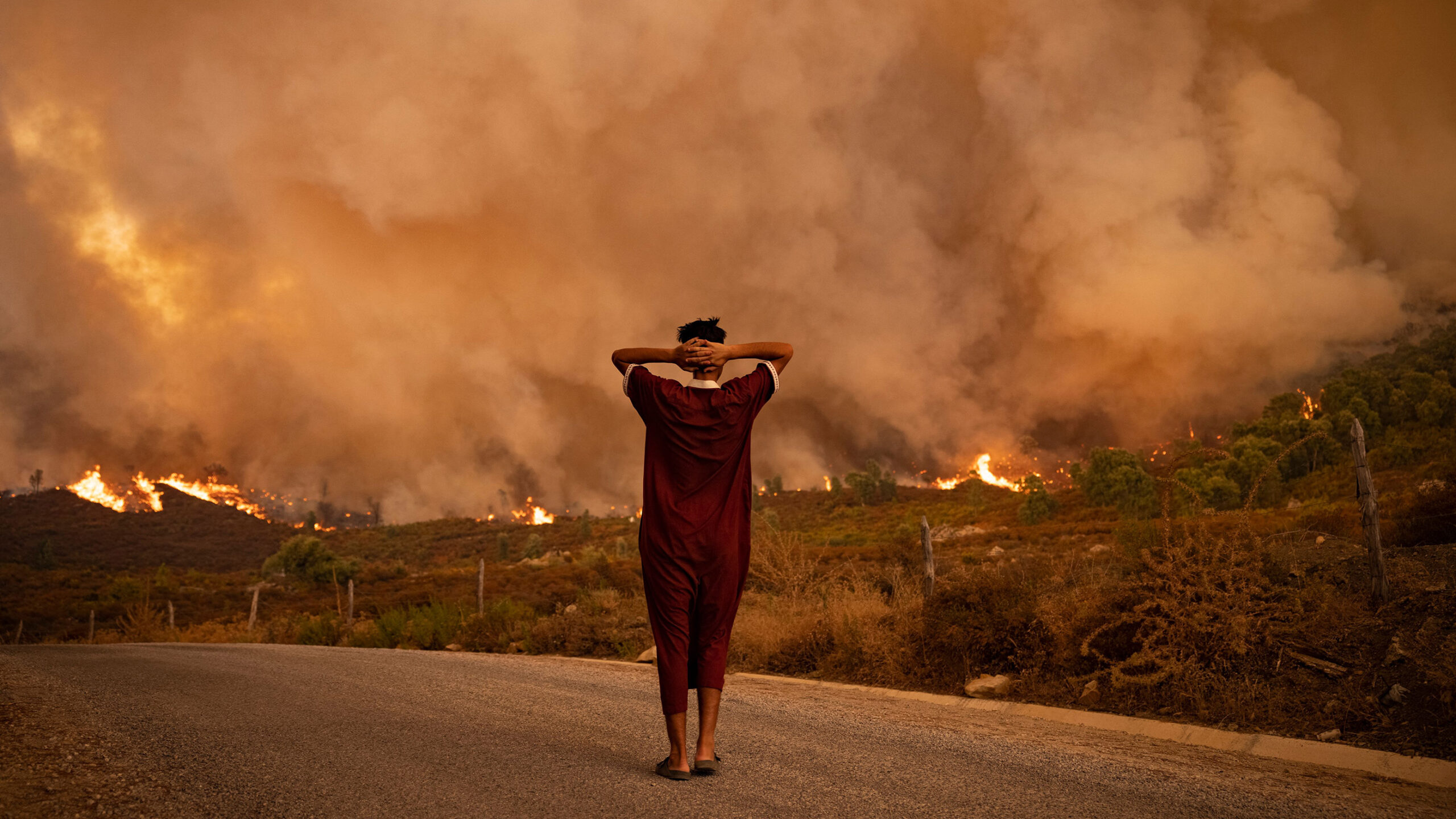 Understanding the Global Warming Effects: Impact on Weather, Wildlife, and Communities